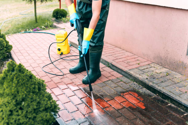 Best Fence Cleaning  in Diamond Ridge, AK